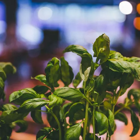 Hotel Radisson Blu Seaside Hotel,